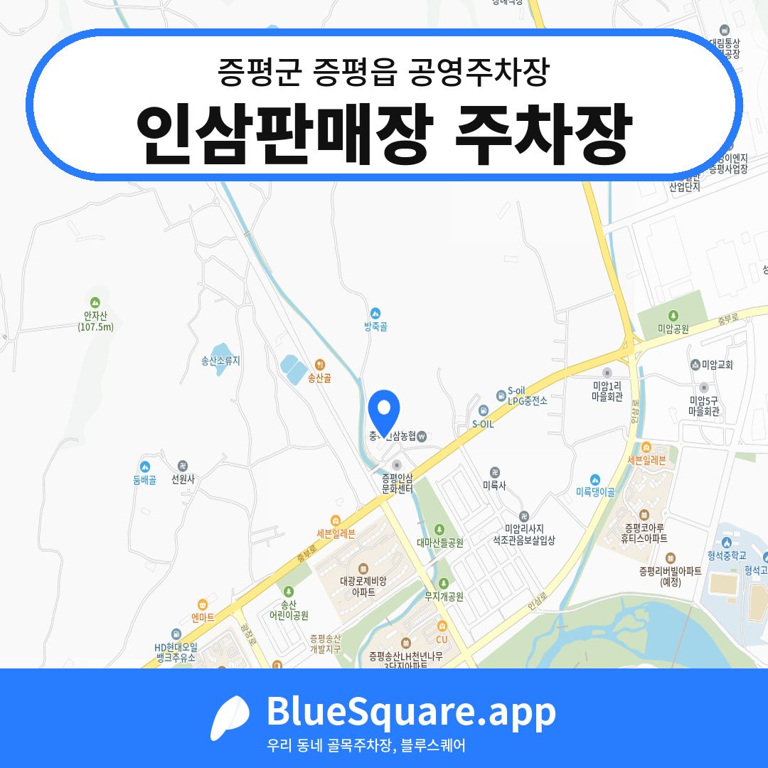 인삼판매장 주차장 위치 지도 — 충북 증평군 증평읍 | 블루스퀘어 주차