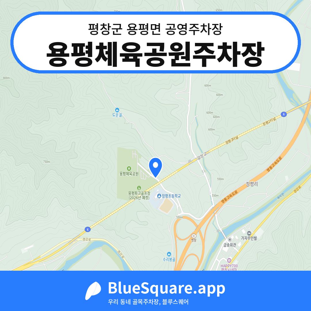 용평체육공원주차장 위치 지도 — 강원 평창군 용평면 | 블루스퀘어 주차