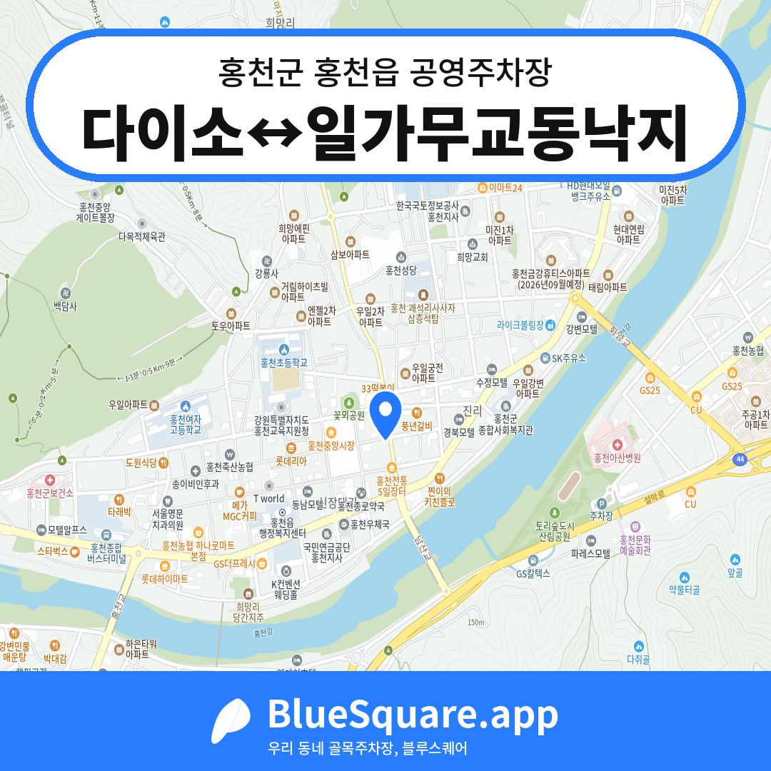 다이소↔일가무교동낙지 위치 지도 — 강원 홍천군 홍천읍 | 블루스퀘어 주차